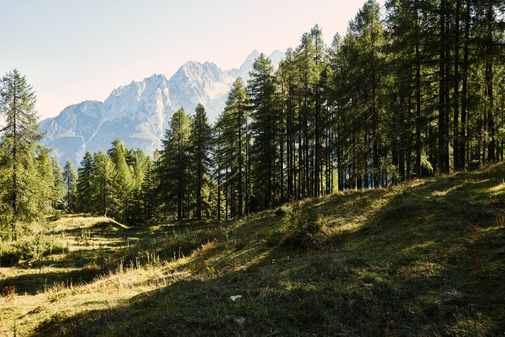 Tiskové informace