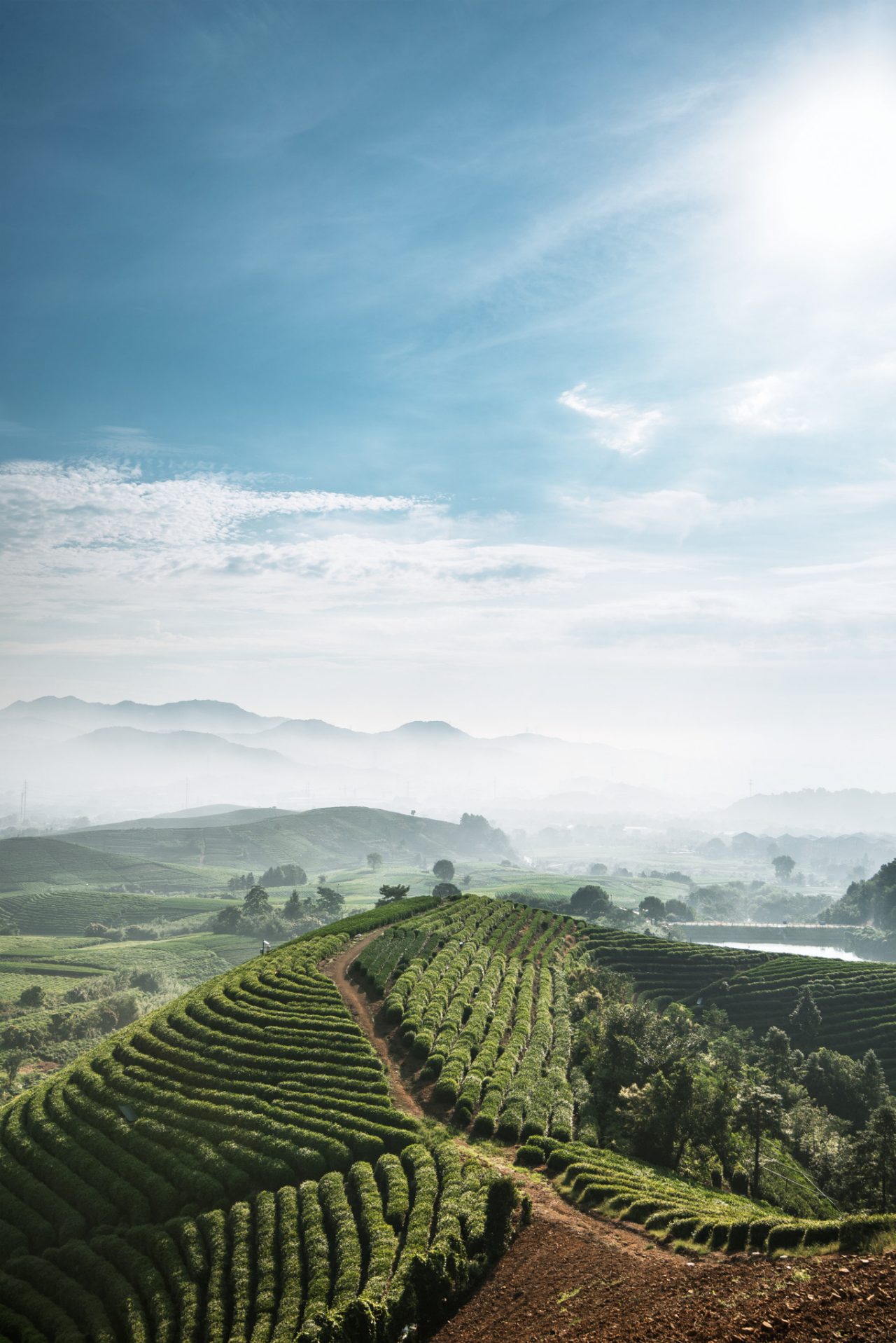 ASIA