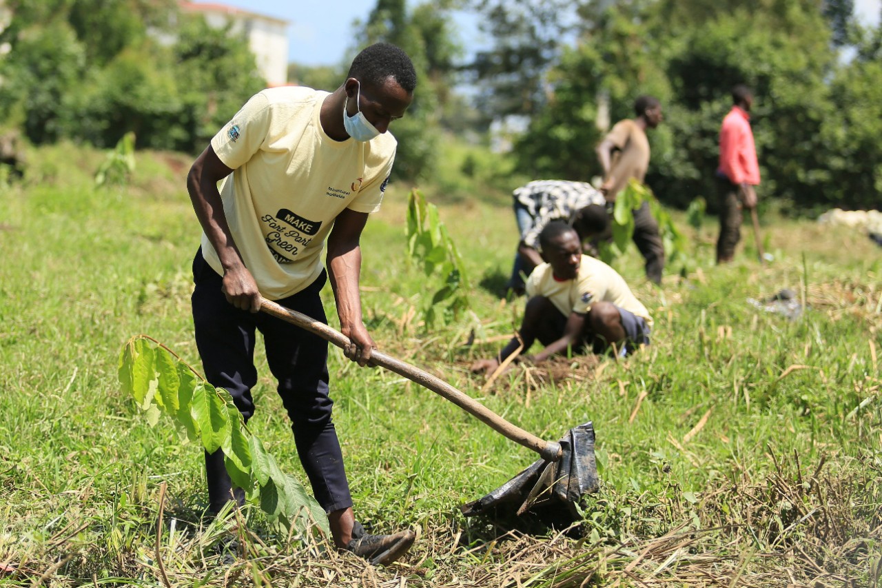 Klimatický projekt STIHL v Ugandě – fáze výsadby